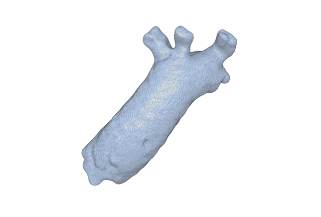 Thumbnail of Aorta Volume