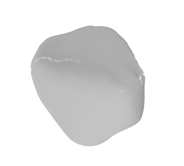 Patella